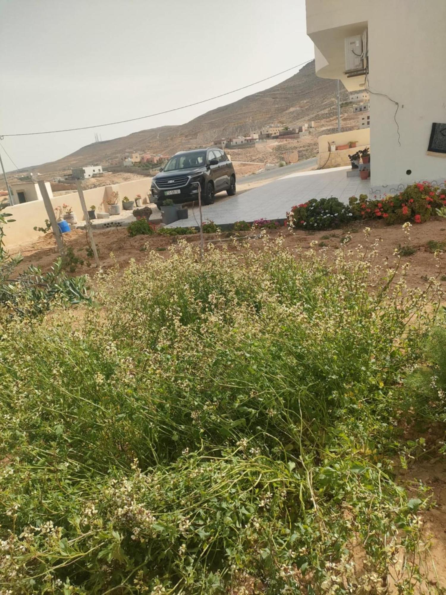 Darkum Apartment Wadi Musa Exteriör bild